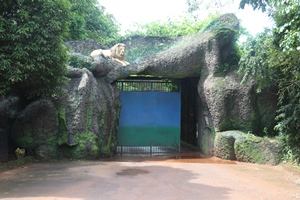 Lion Safari at Nandankanan Zoo