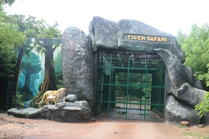 white tiger safari at Nandankanan Zoo
