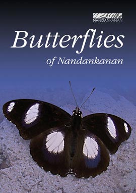 Butterflies of Nandankanan