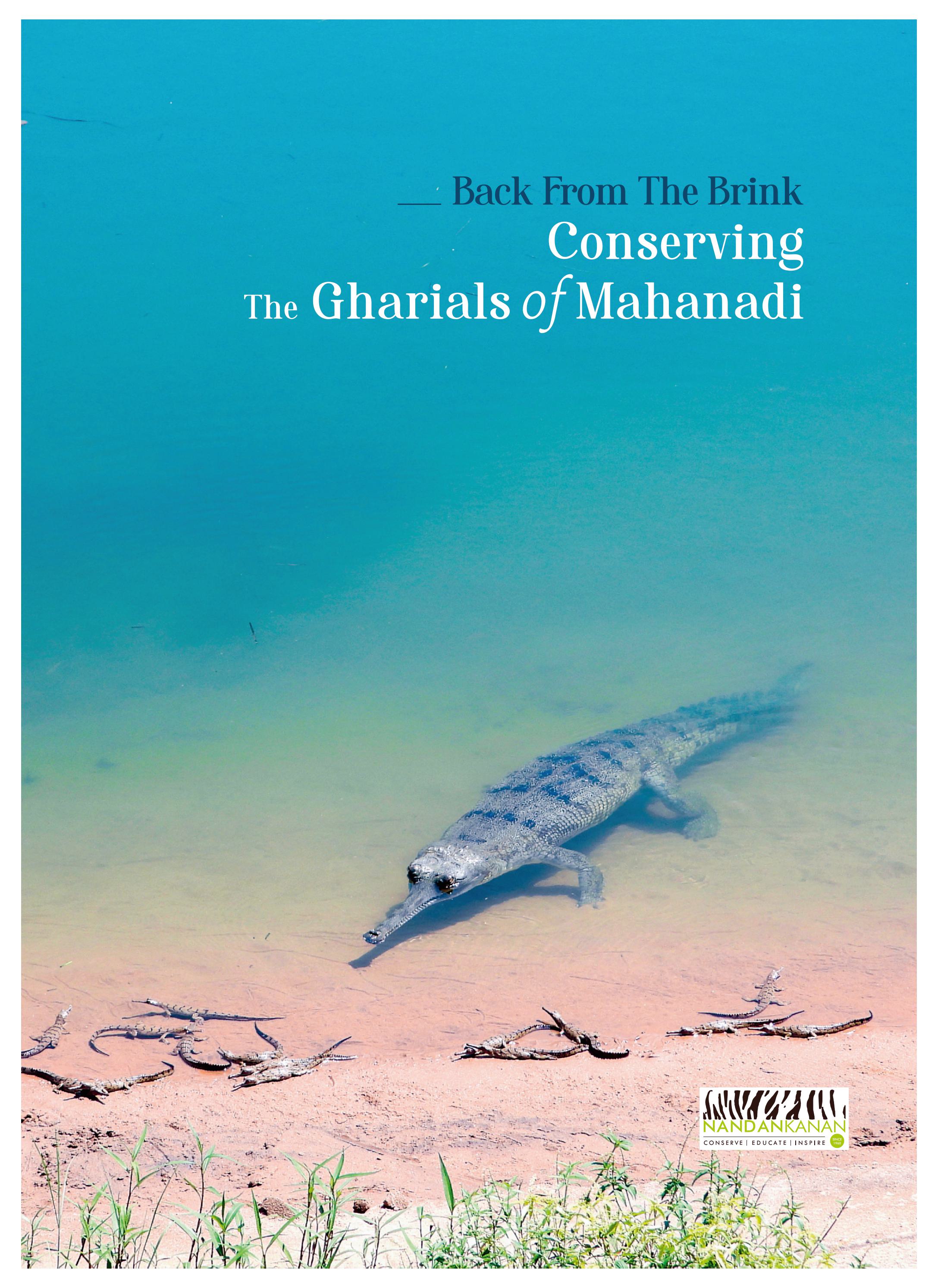 Back from the brink conserving the gharials of Mahanadi cover page Back from the brink conserving the gharials of Mahanadi cover page