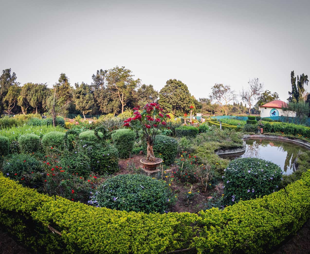 The state botanical garden - Nandankanan