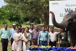World-Elephant-Day-2025