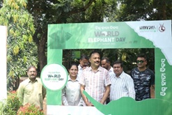 World-Elephant-Day-2025