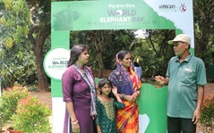World-Elephant-Day-2025