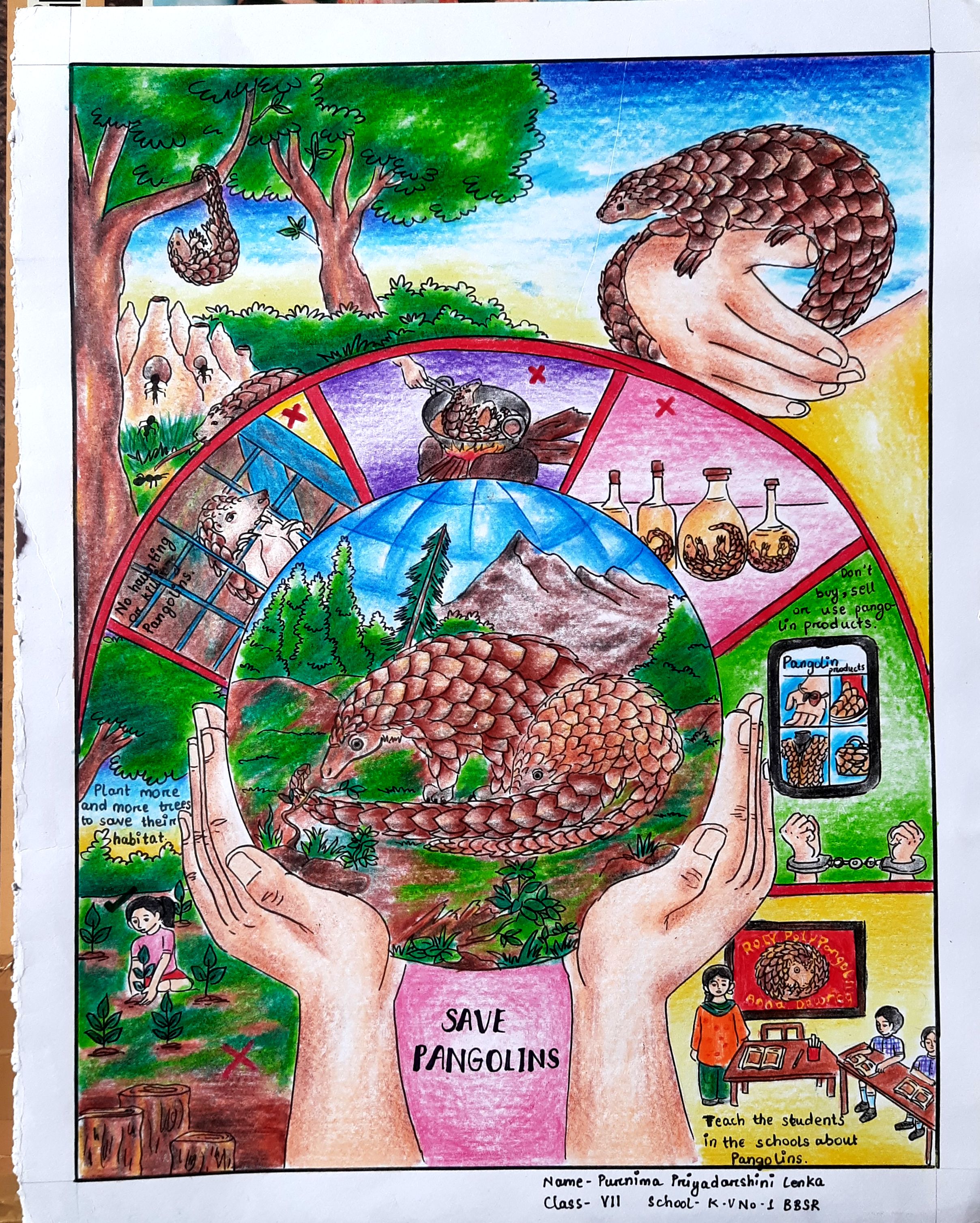 World Pangolin Day 2022 :: Poster Making Competition Merit List